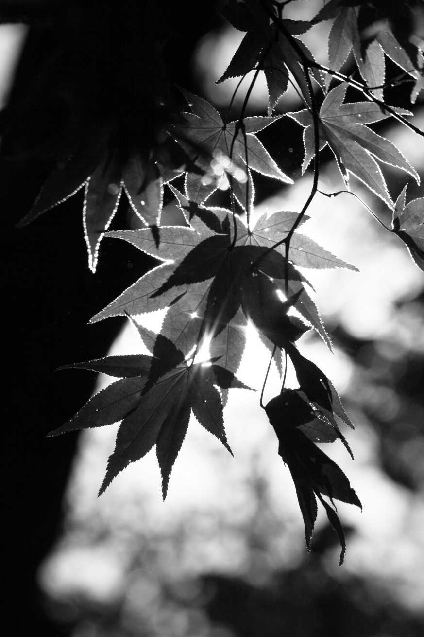 2014 11 10 HTP 000001740ebw